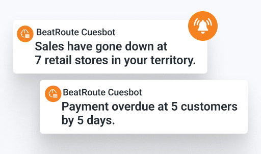 BeatRoute field sales app alerts: sales down & payments overdue.