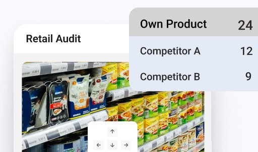 Retail audit data shown on a field sales app interface.