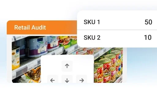 BeatRoute Visual Merchandising Software: Retail audit screenshot showing product inventory.