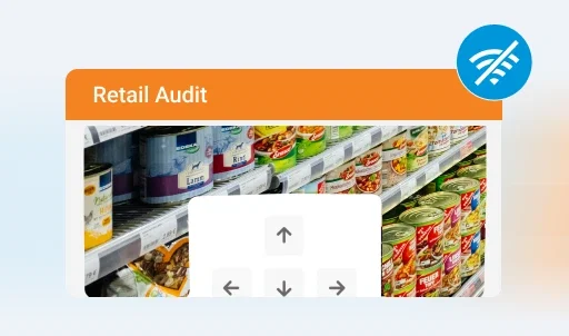 BeatRoute Visual Merchandising Software: Retail audit image showing canned goods on shelves.