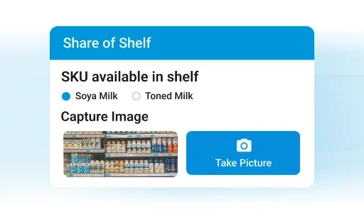 BeatRoute Visual Merchandising Software: Shelf image capture.