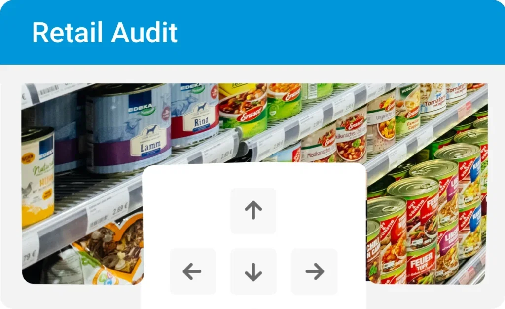 BeatRoute Visual Merchandising Software: Retail audit of canned goods on shelves.