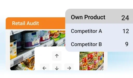 BeatRoute Visual Merchandising Software: Retail audit showing product placement.