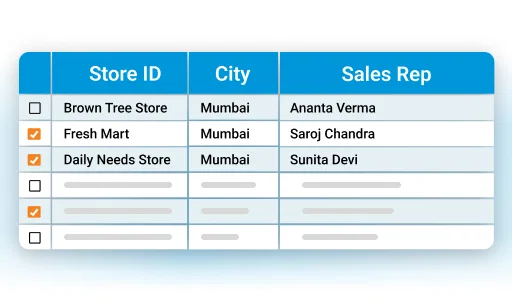 Loyalty management software table showing store IDs, cities, and sales representatives.