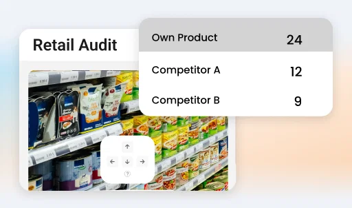 retail auditors - FMCG Sales Force Automation Software
