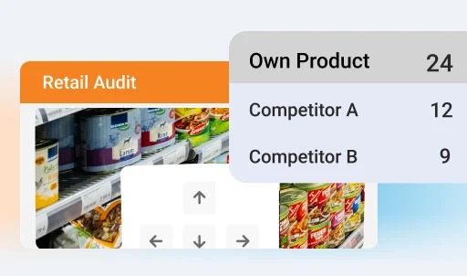 Collecting information on competitor activities at the store level 1 - Van Sales Automation