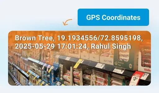 Track visits and route adherence via GPS - Van Sales Automation