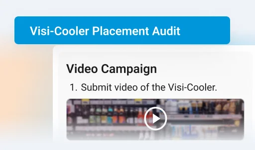 Verify POSM placement branding quality and product visibility - Van Sales Automation